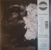 Виниловая пластинка JAMIRE WILLIAMS / BUT ONLY AFTER YOU HAVE SUFFERED (1LP)